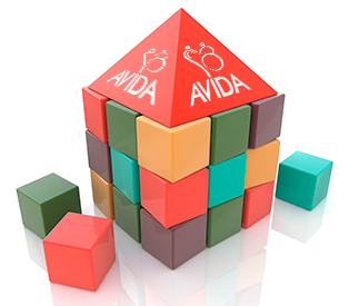 AVIDA